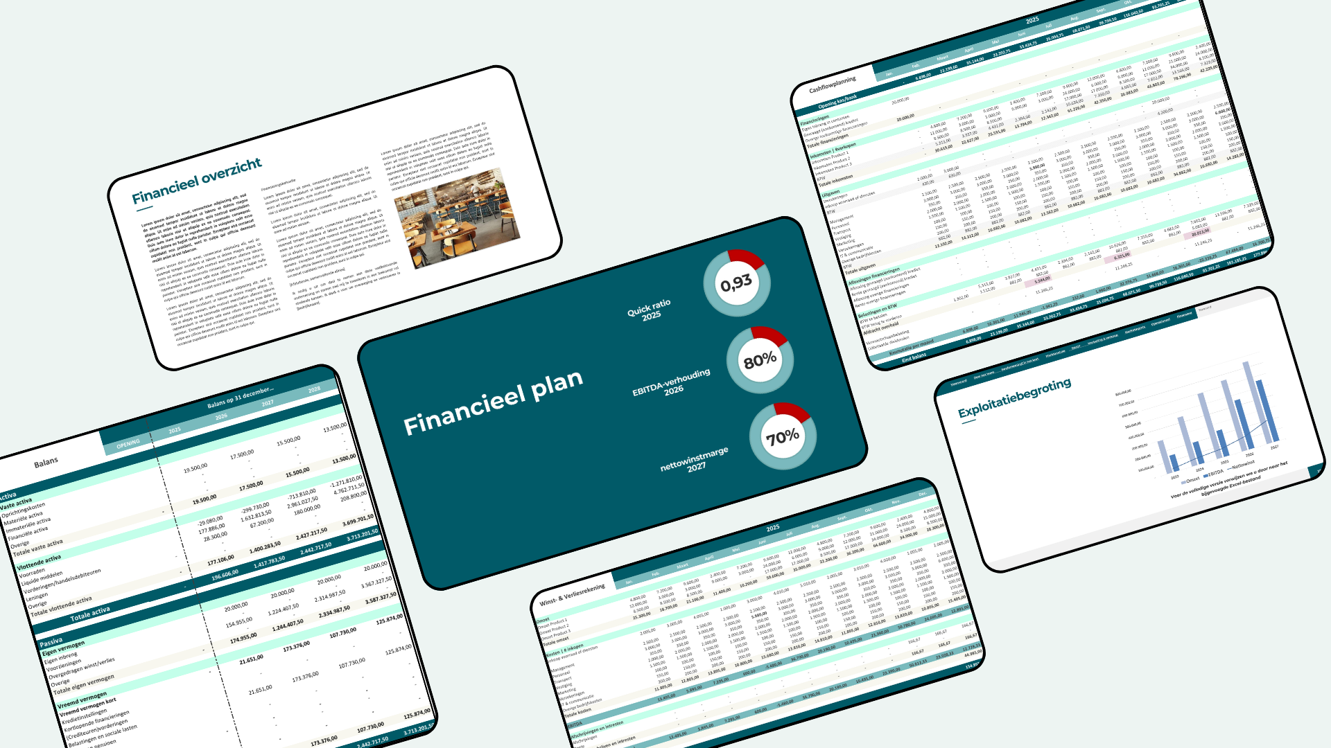 Financieel plan voorbeeld